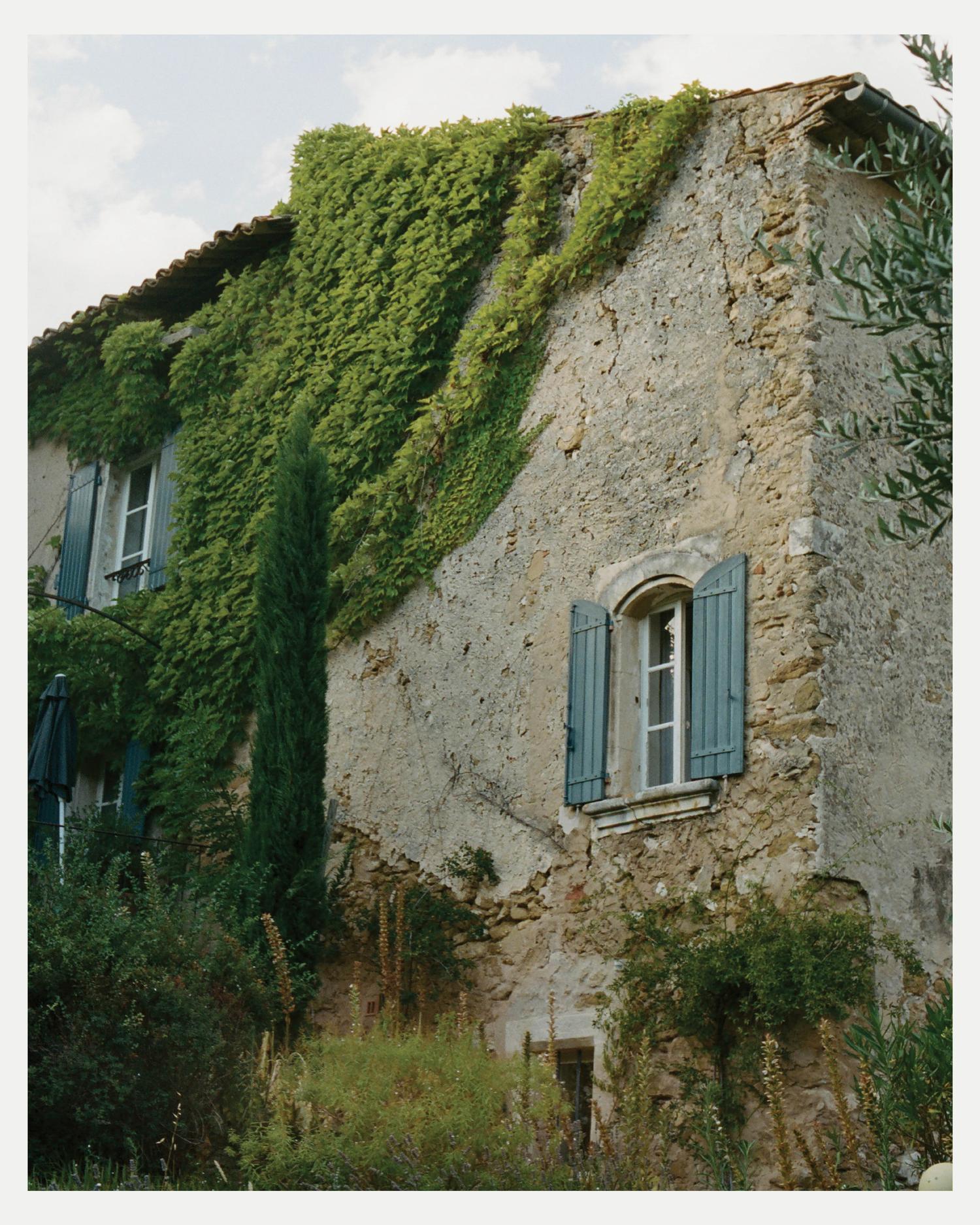 img-8cecbf932d428078-20260526
