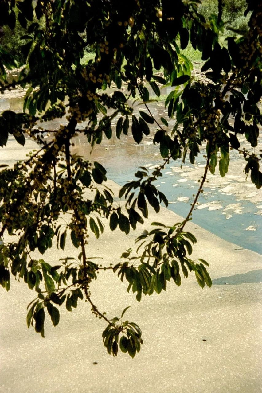 img-81ca549bf91f77c0-20260517